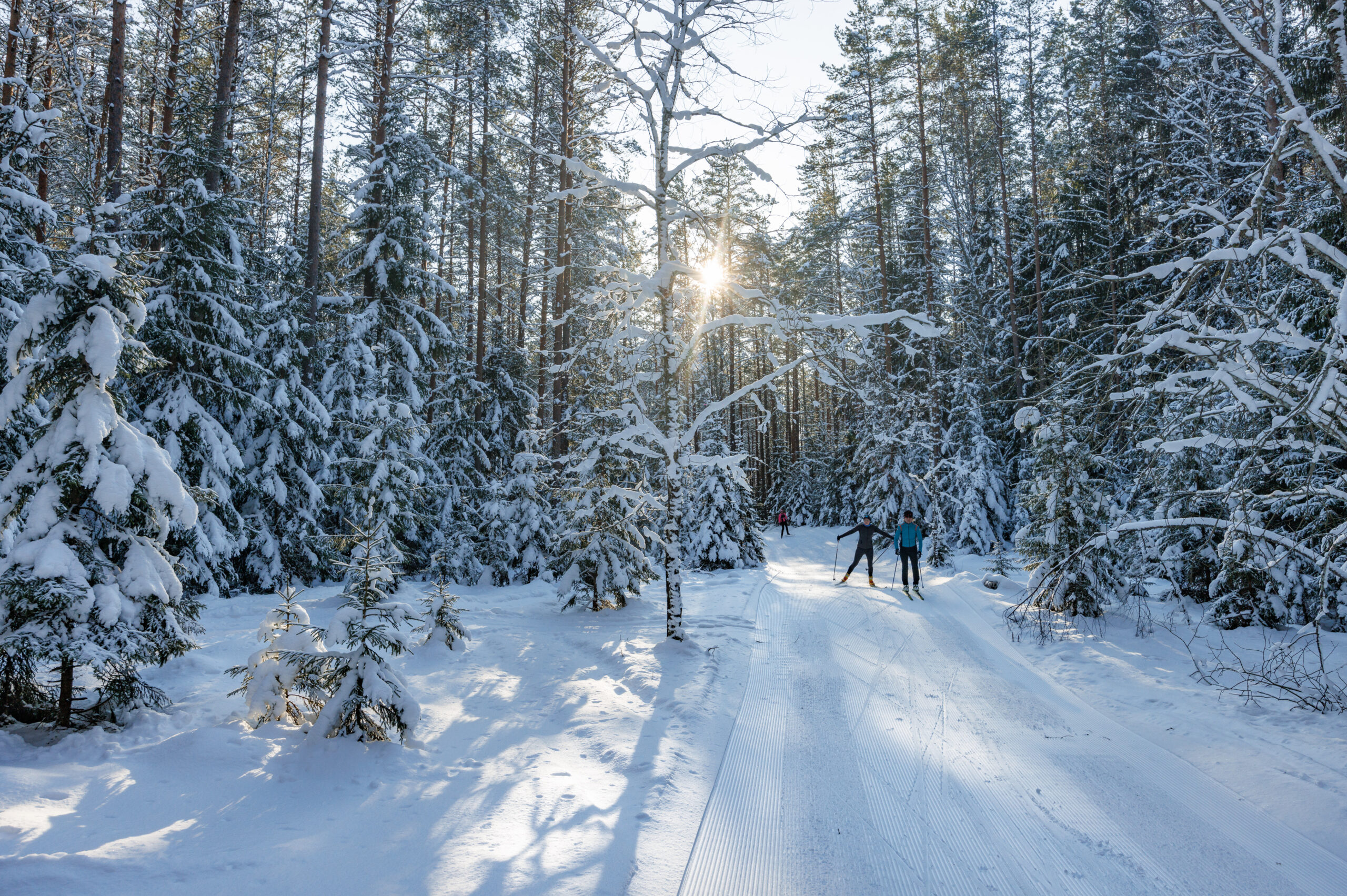 Ilusa talveilma ja külmakraadide toel on 98 Eesti terviserada muutunud rajameistrite abiga suusaradadeks.